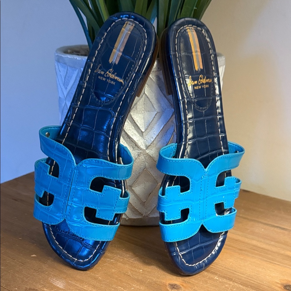 Sam Edelman Blue and Teal Sandals